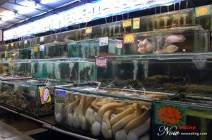 Seafood display area