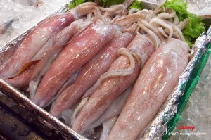 Fresh Squids