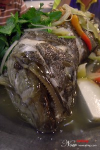 Sea Grouper Hong Kong Delicacies with Teow Chew Style